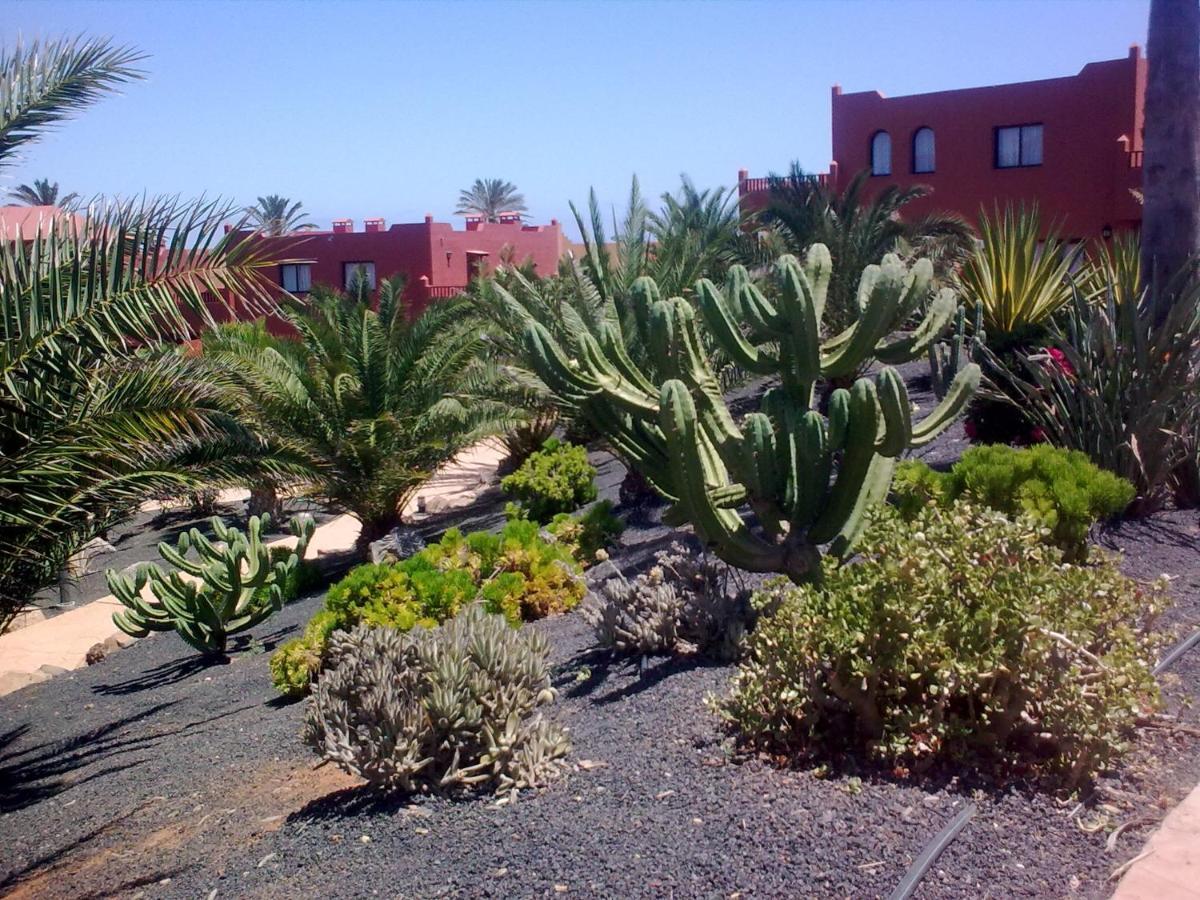 Tamarindo I Piscinas De Agua Salada Appartement Corralejo Buitenkant foto