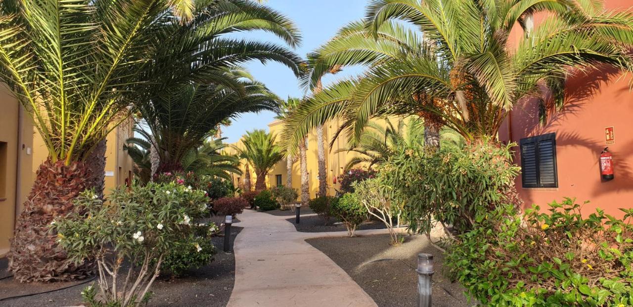 Tamarindo I Piscinas De Agua Salada Appartement Corralejo Buitenkant foto