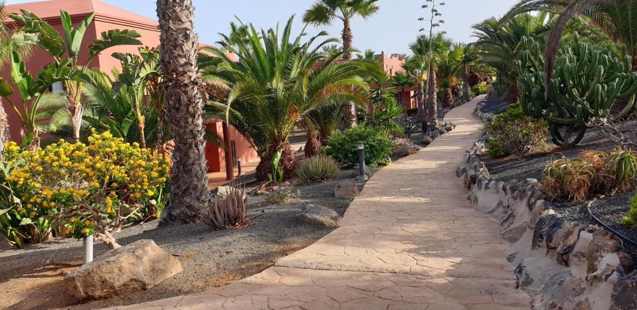 Tamarindo I Piscinas De Agua Salada Appartement Corralejo Buitenkant foto