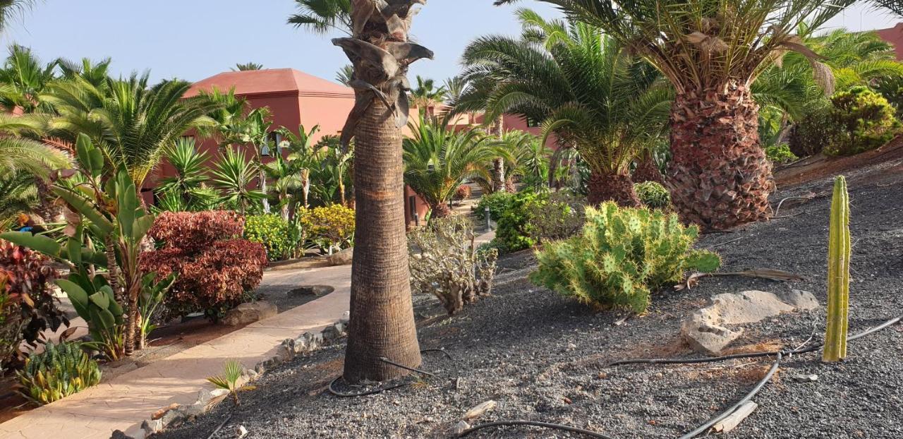 Tamarindo I Piscinas De Agua Salada Appartement Corralejo Buitenkant foto